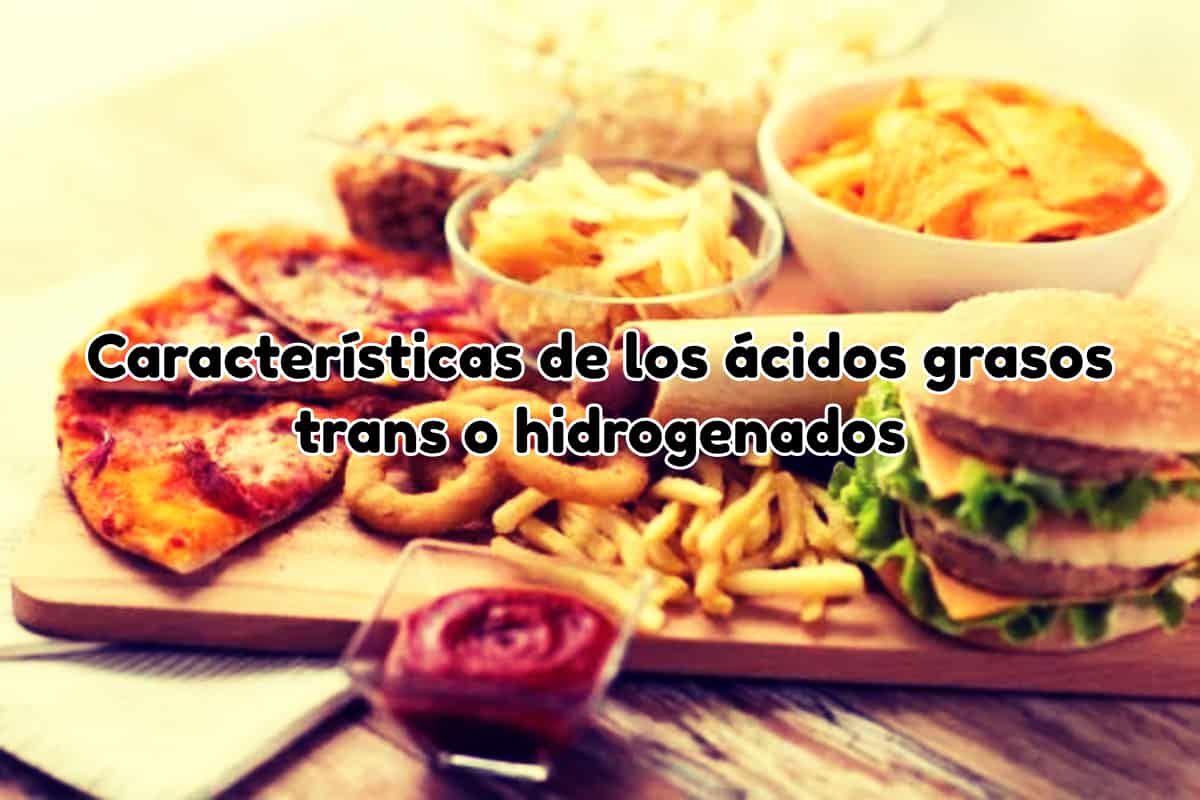 ácidos grasos hidrogenados