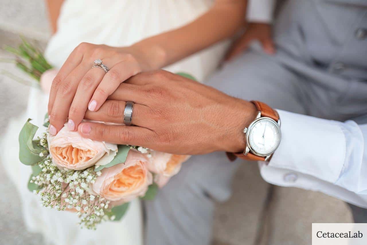 bride, couple, groom