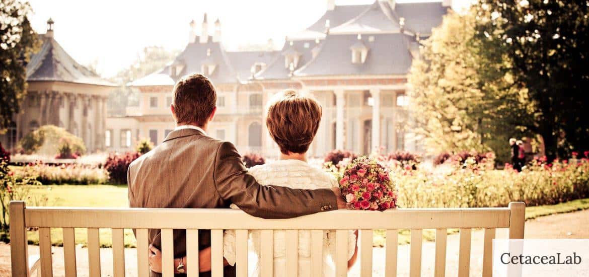 couple, marriage, bench