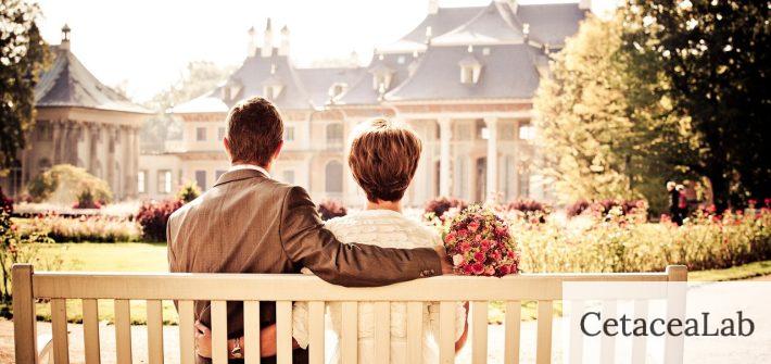couple, marriage, bench