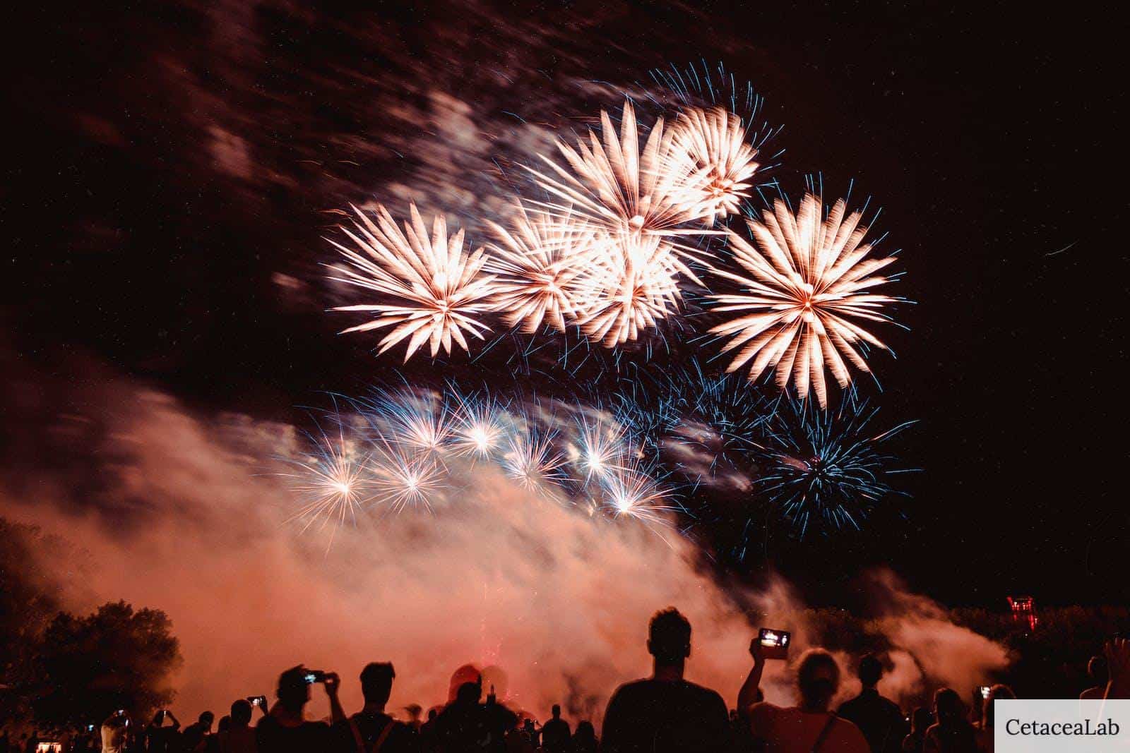 People Watching Fireworks Display During Nighttime