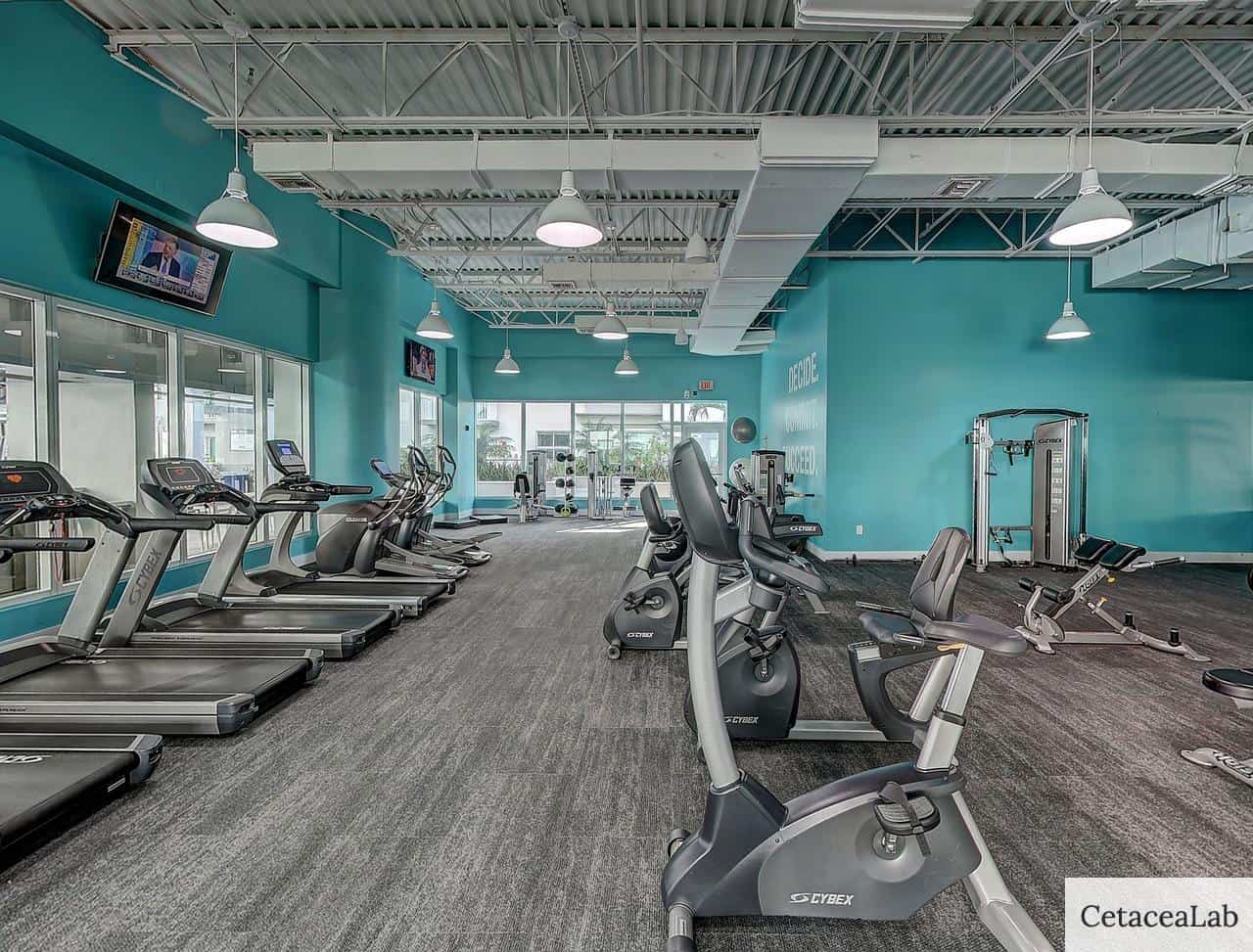 treadmill, workout, fitness
