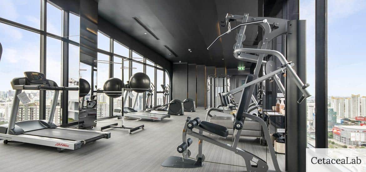 gym, fitness, equipment