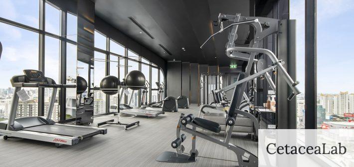 gym, fitness, equipment