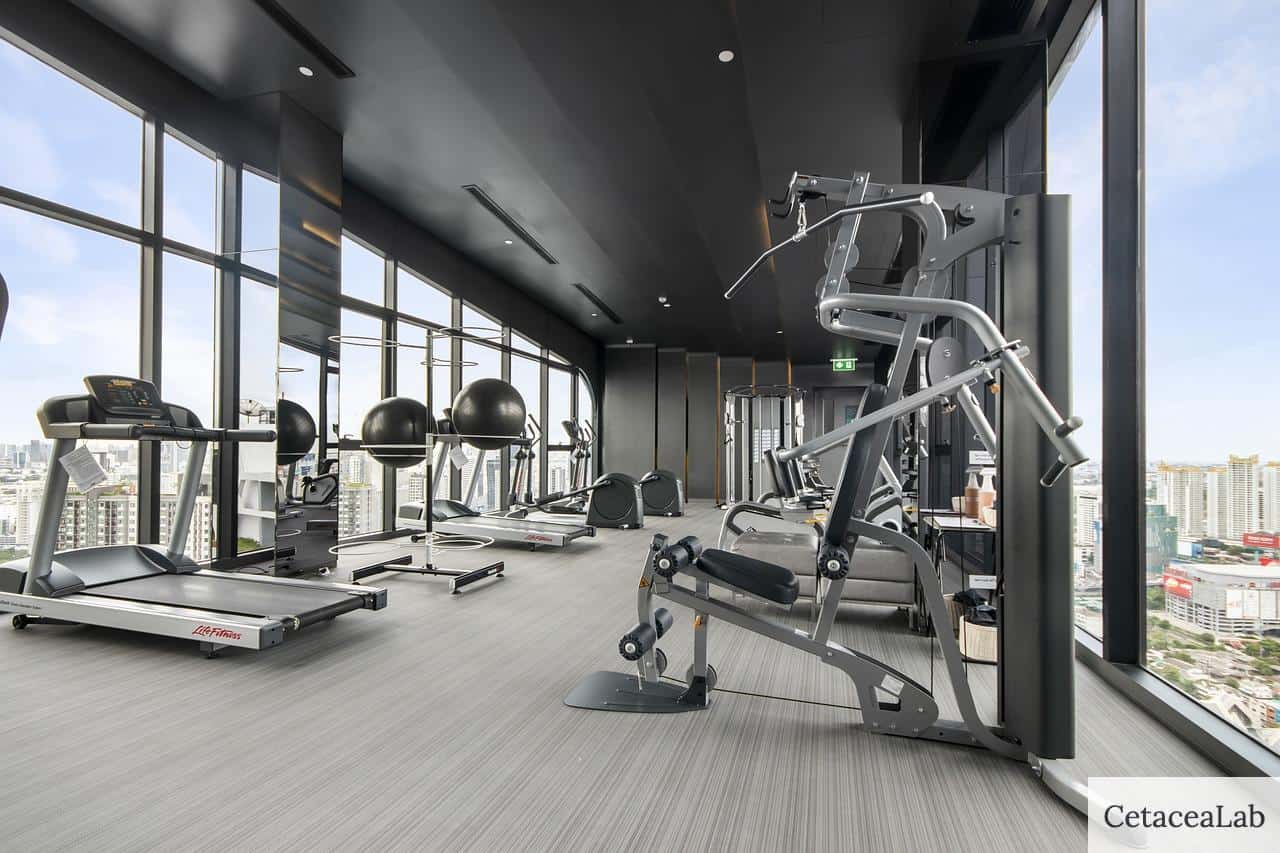 gym, fitness, equipment