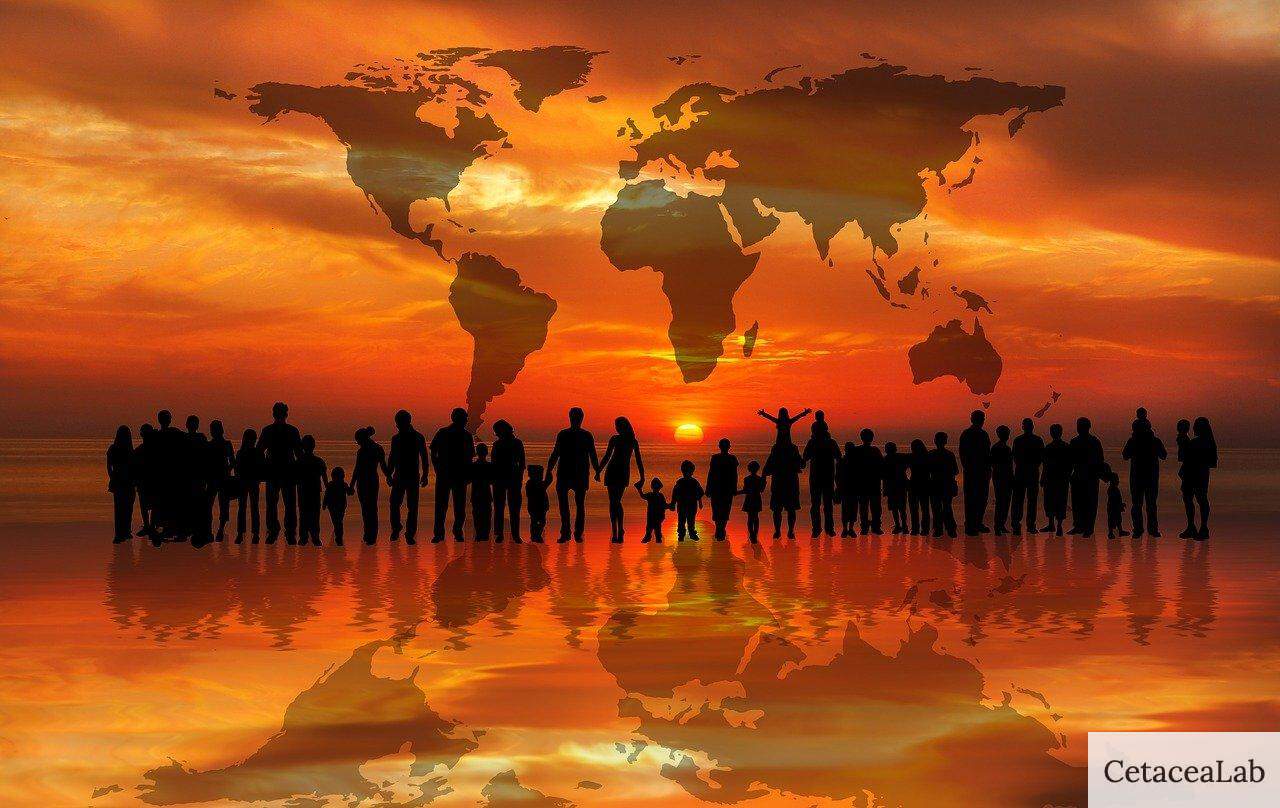 sunset, sunrise, nature