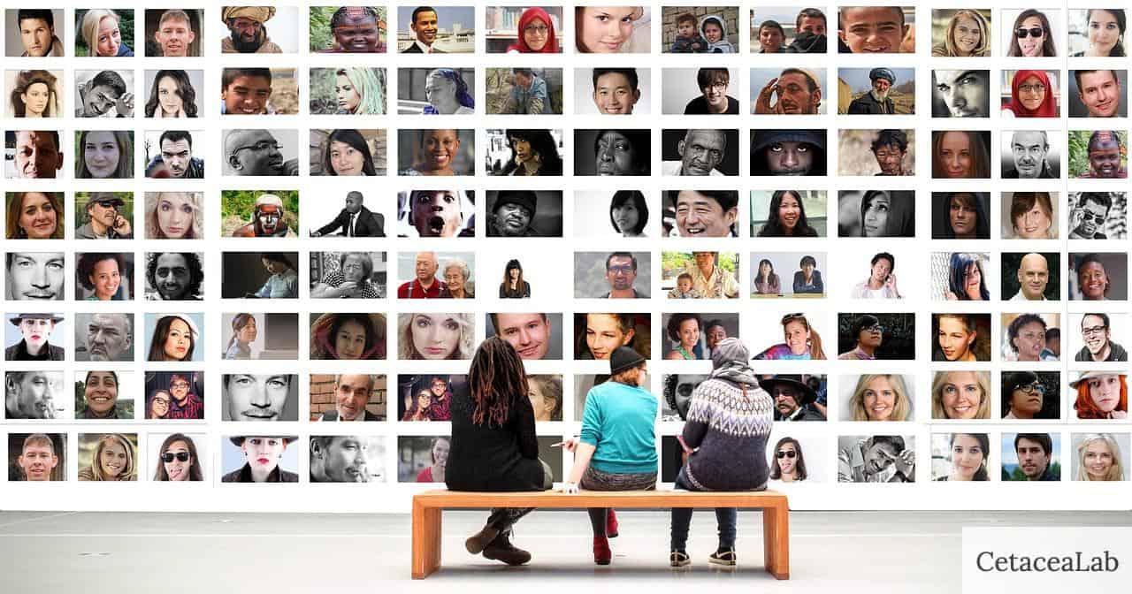 people, exhibition, faces