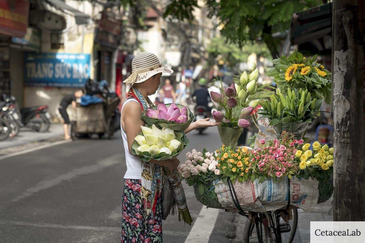 hanoi, street, vietnam