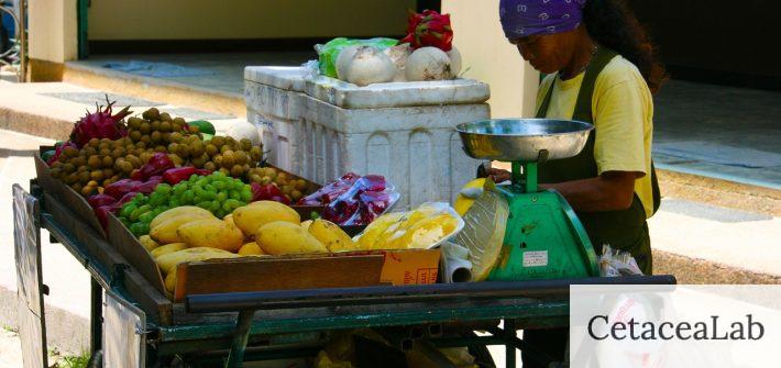 woman, food stall, fruits