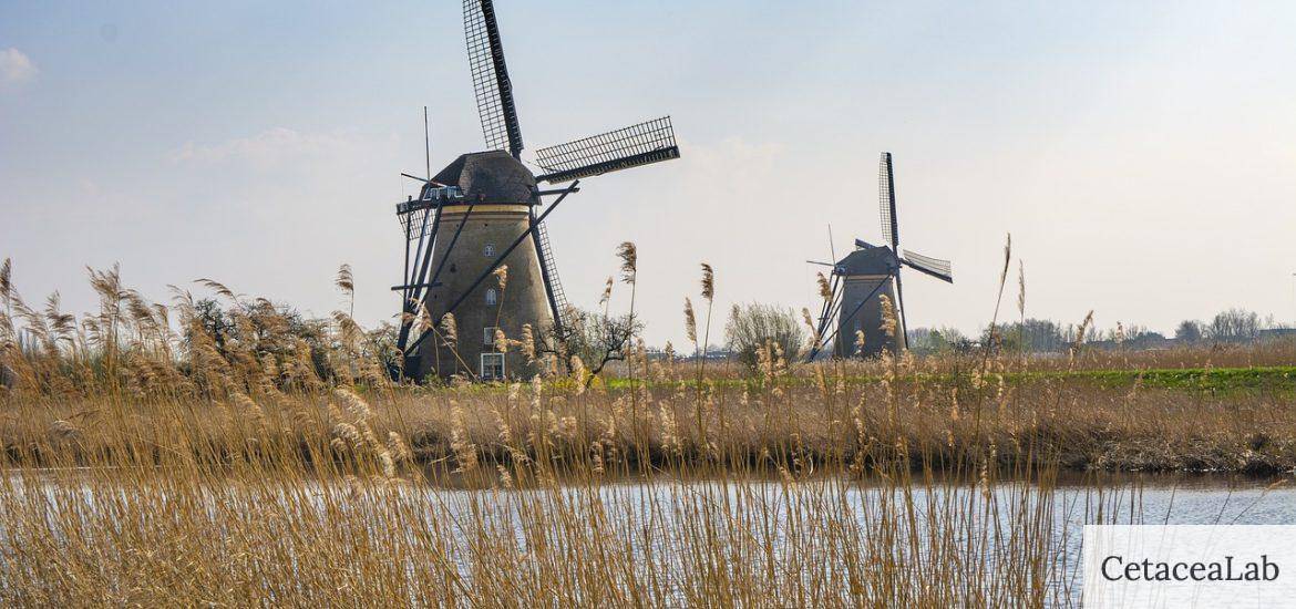 mill, windmill, travel