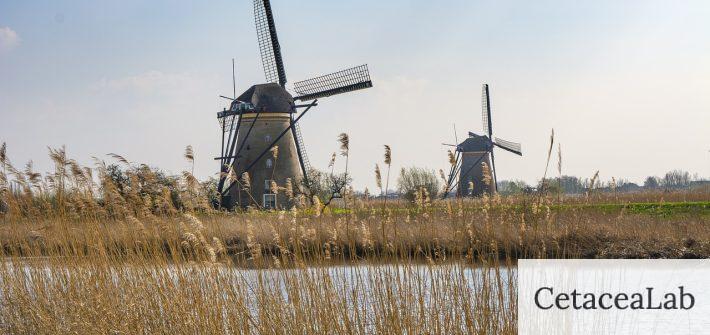 mill, windmill, travel