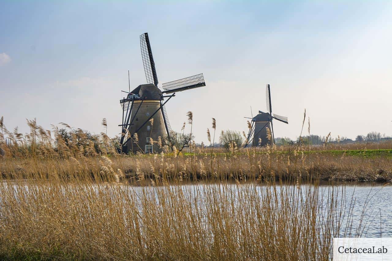 mill, windmill, travel