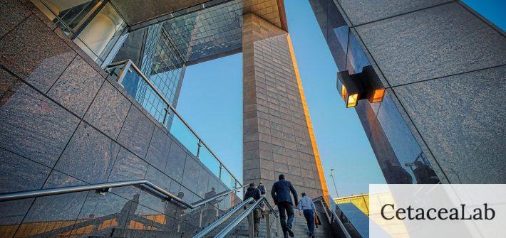 stairs, building, businessmen