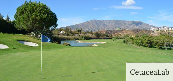 golf, spain, santana