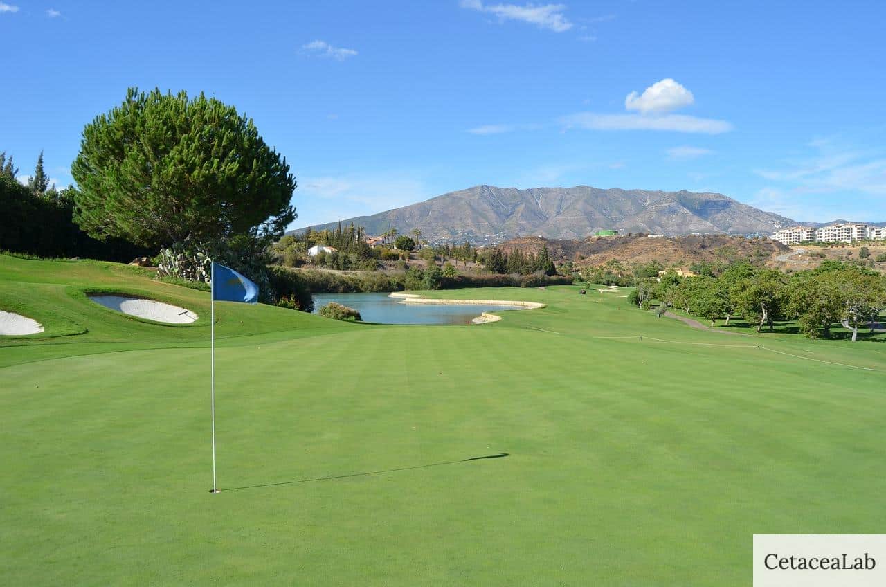 golf, spain, santana