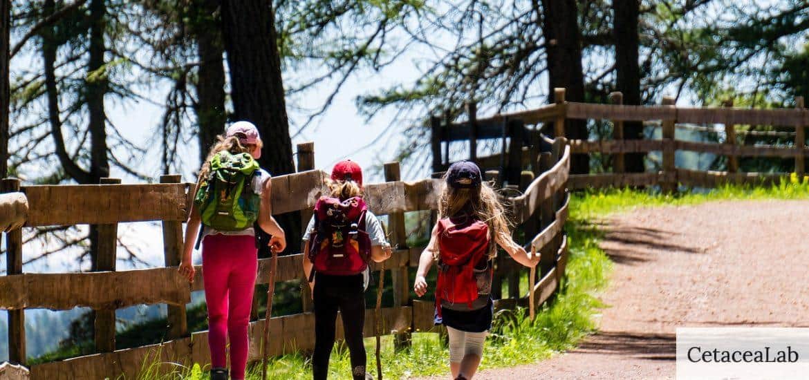 children, girl, hiking