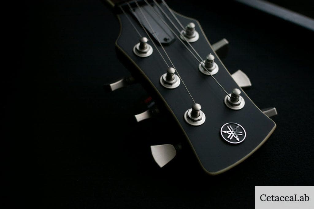 Yamaha F310 guitarra