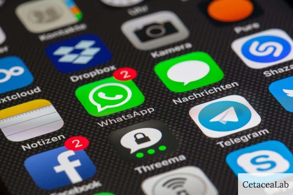 vivir sin redes sociales