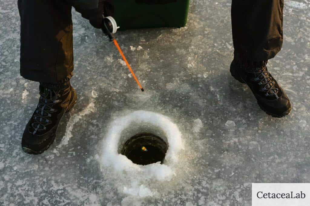 Importancia de las botas de pesca