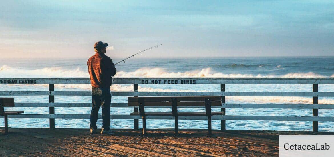 ¿Cómo deben ser unas buenas botas de pesca?