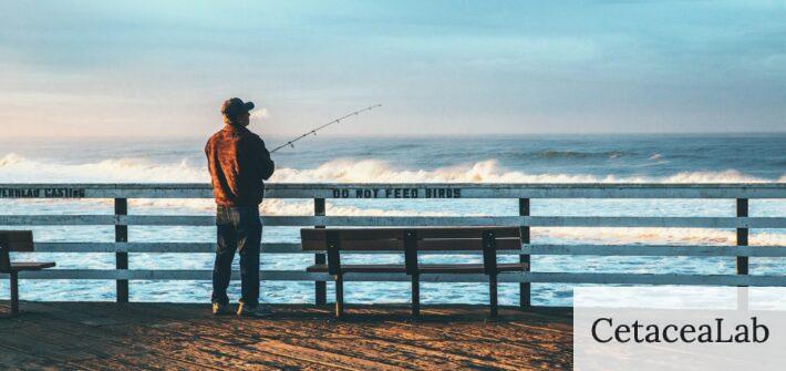 ¿Cómo deben ser unas buenas botas de pesca?