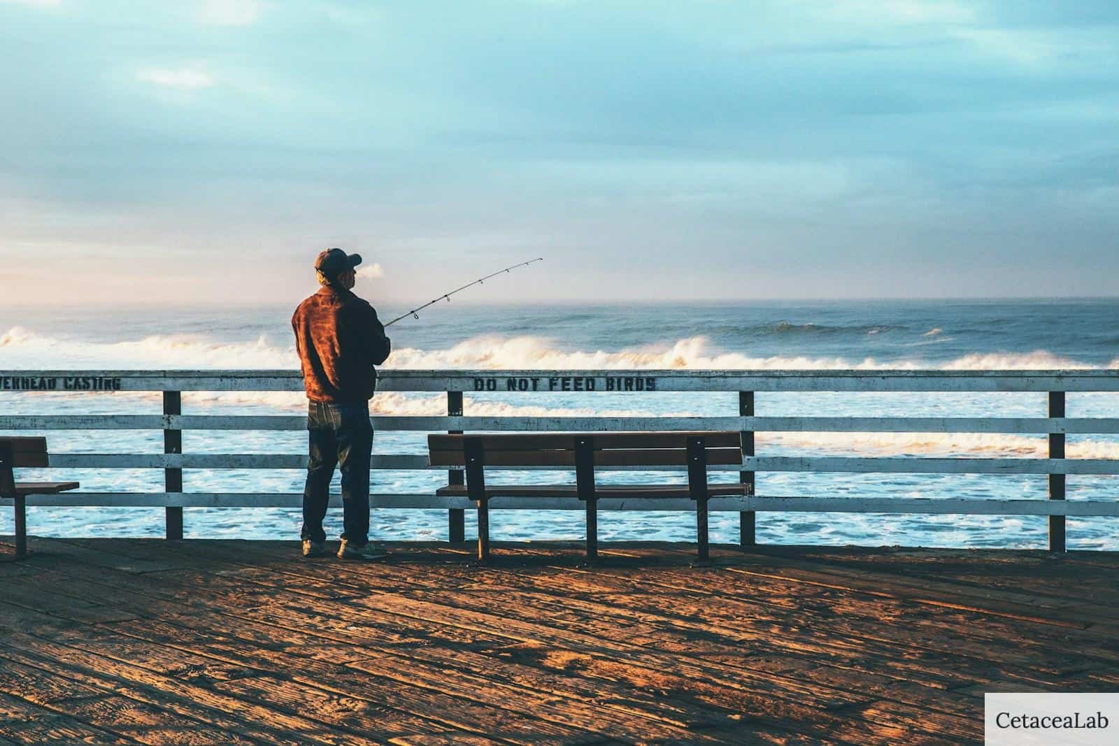 ¿Cómo deben ser unas buenas botas de pesca?