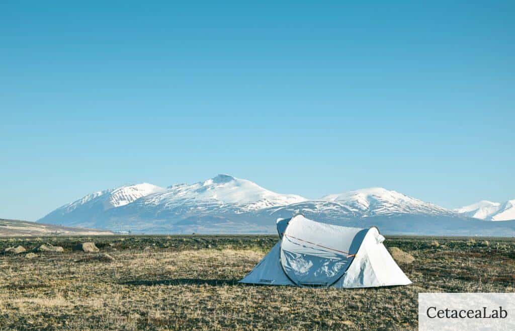 acampada libre en España