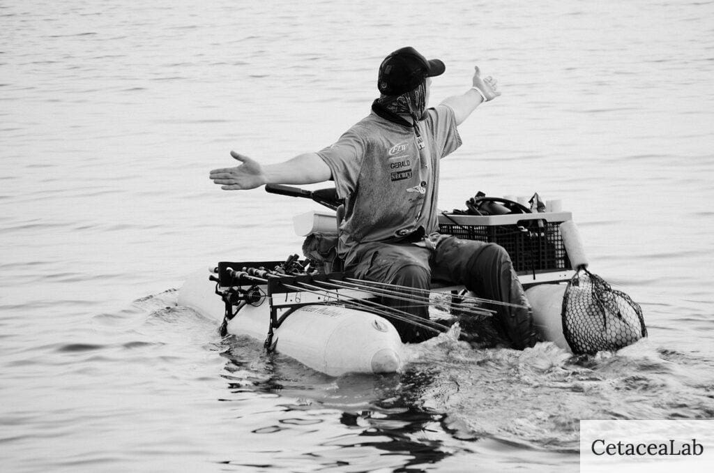 Patos de pesca: criterios para elegir uno