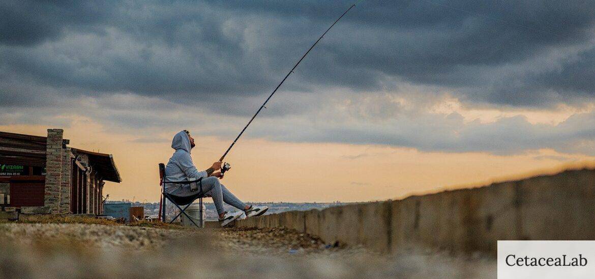 Patos de pesca: Ventajas y criterios para elegir uno