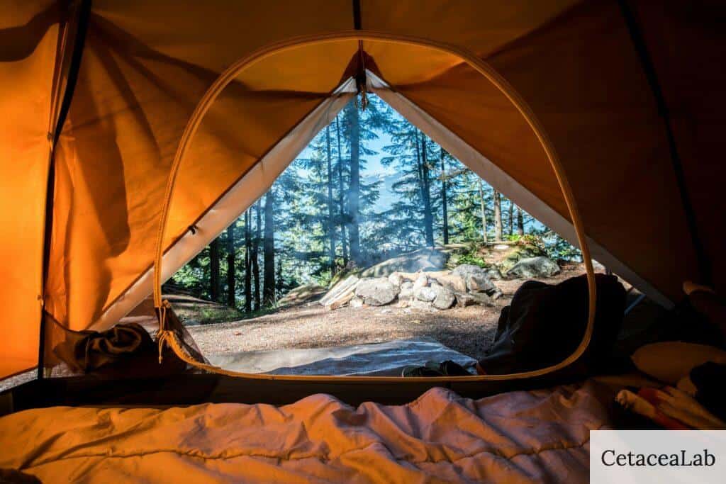 hacer acampada libre en España