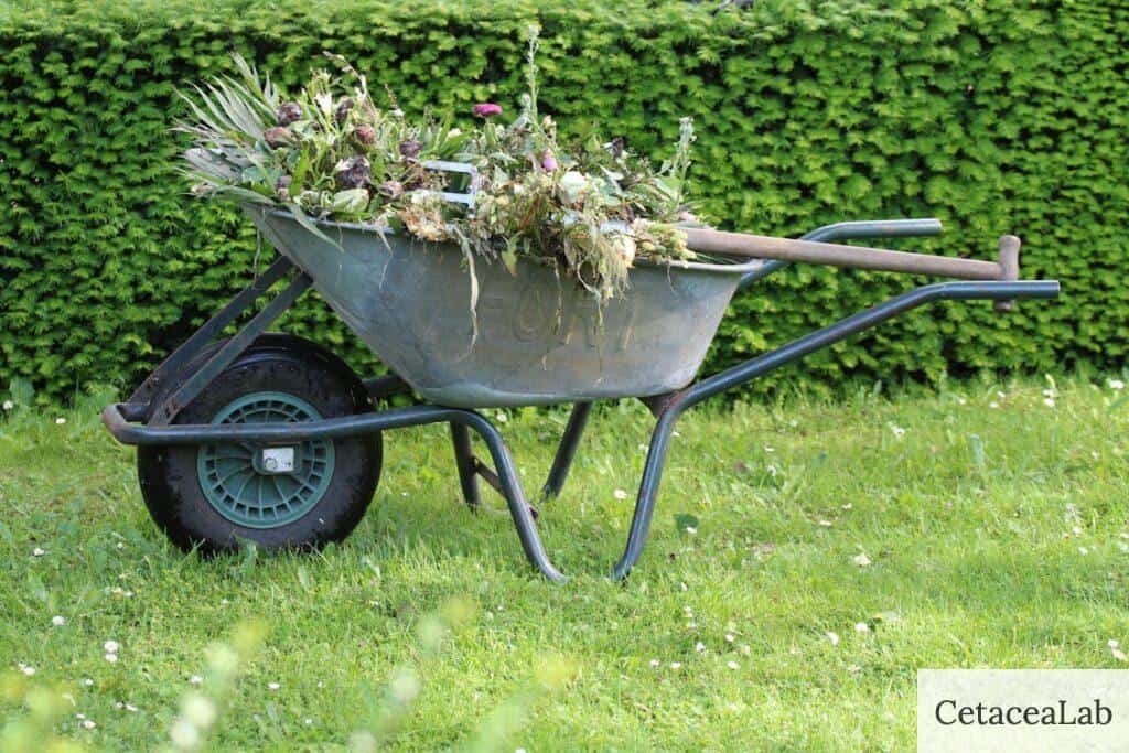 A Wheelbarrow in a Garden