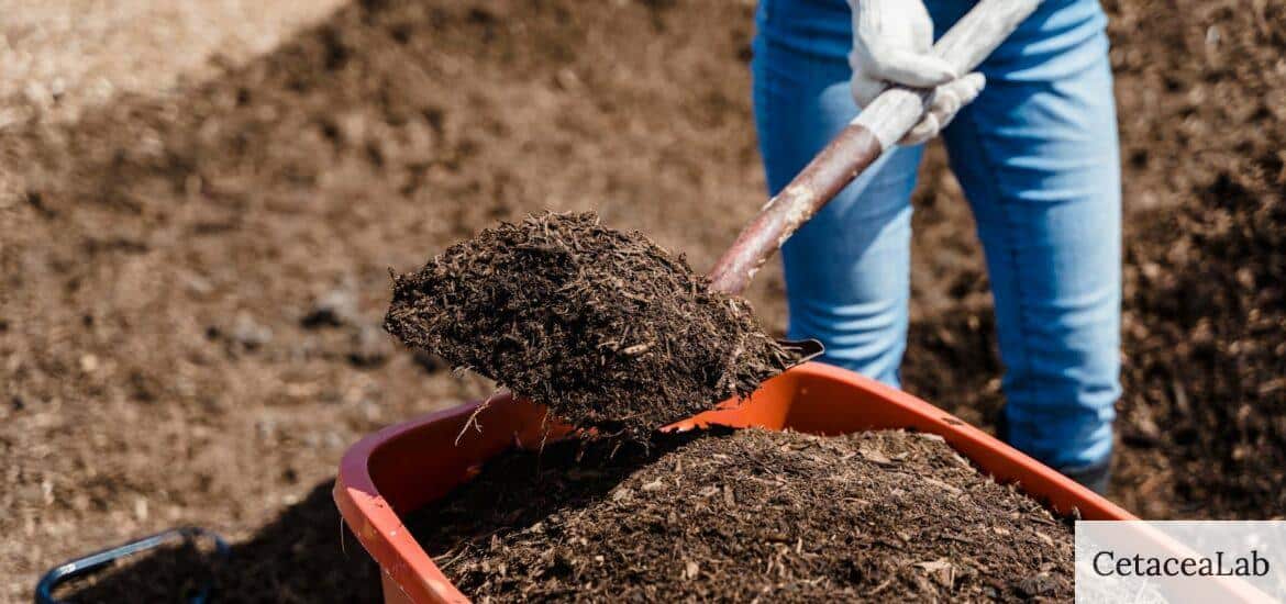 Compost