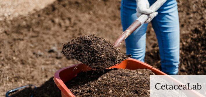 Compost