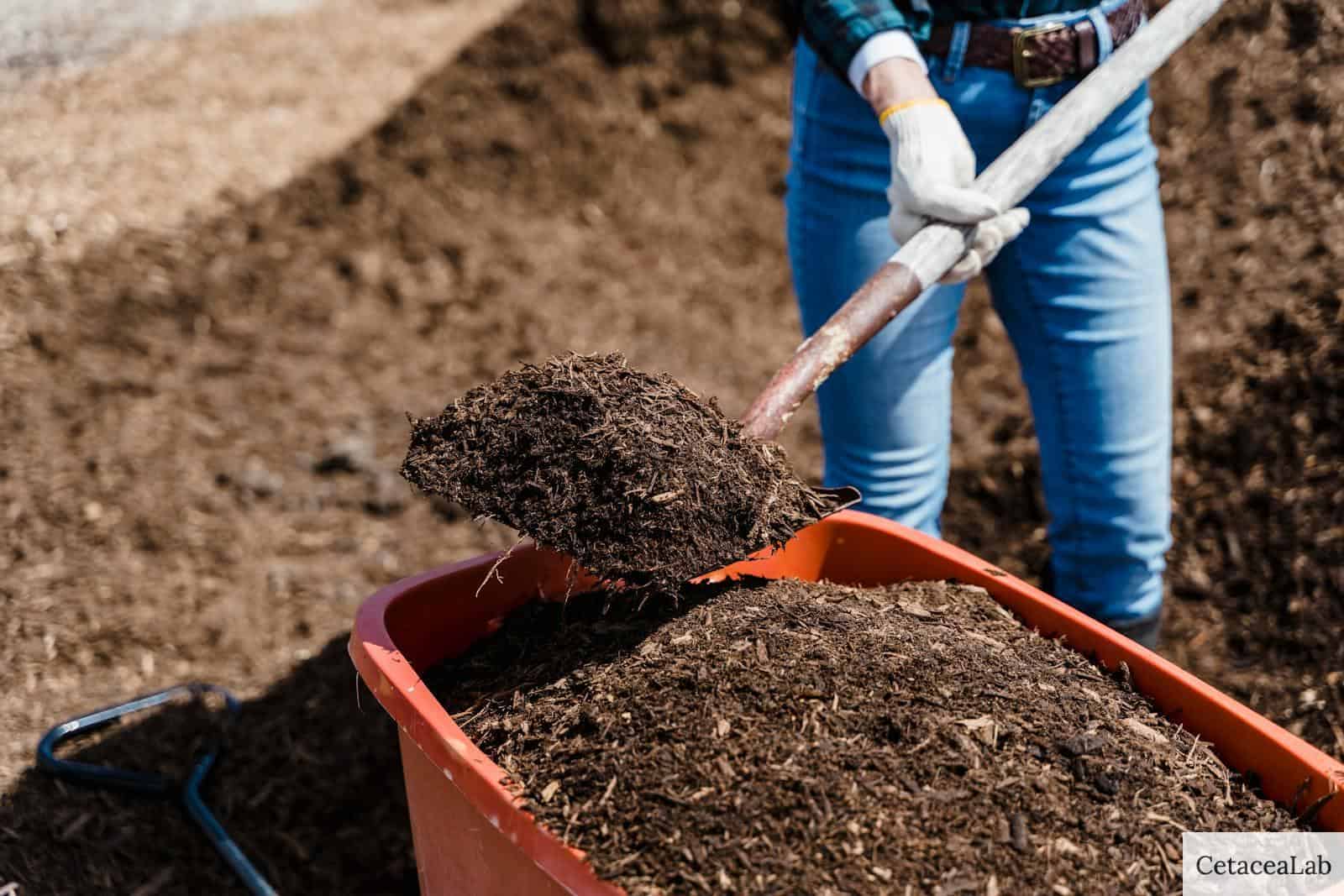Compost