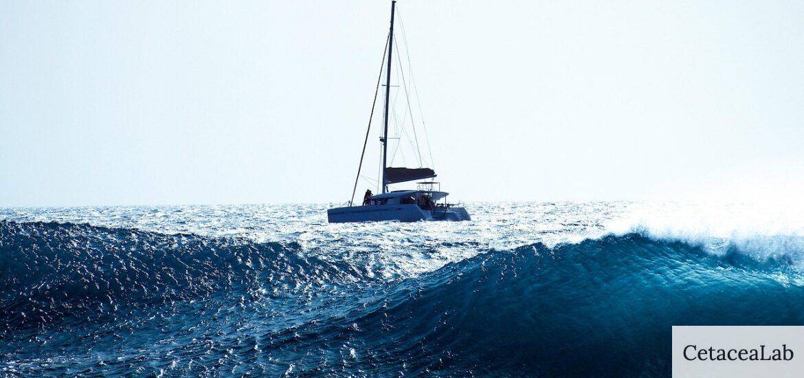 Qué hacer en un velero por Barcelona