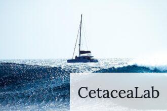 Qué hacer en un velero por Barcelona