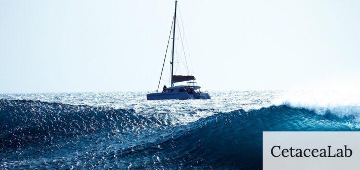 Qué hacer en un velero por Barcelona