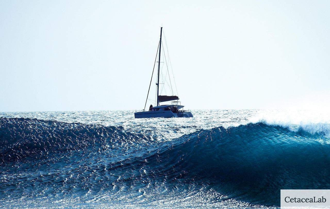 Qué hacer en un velero por Barcelona