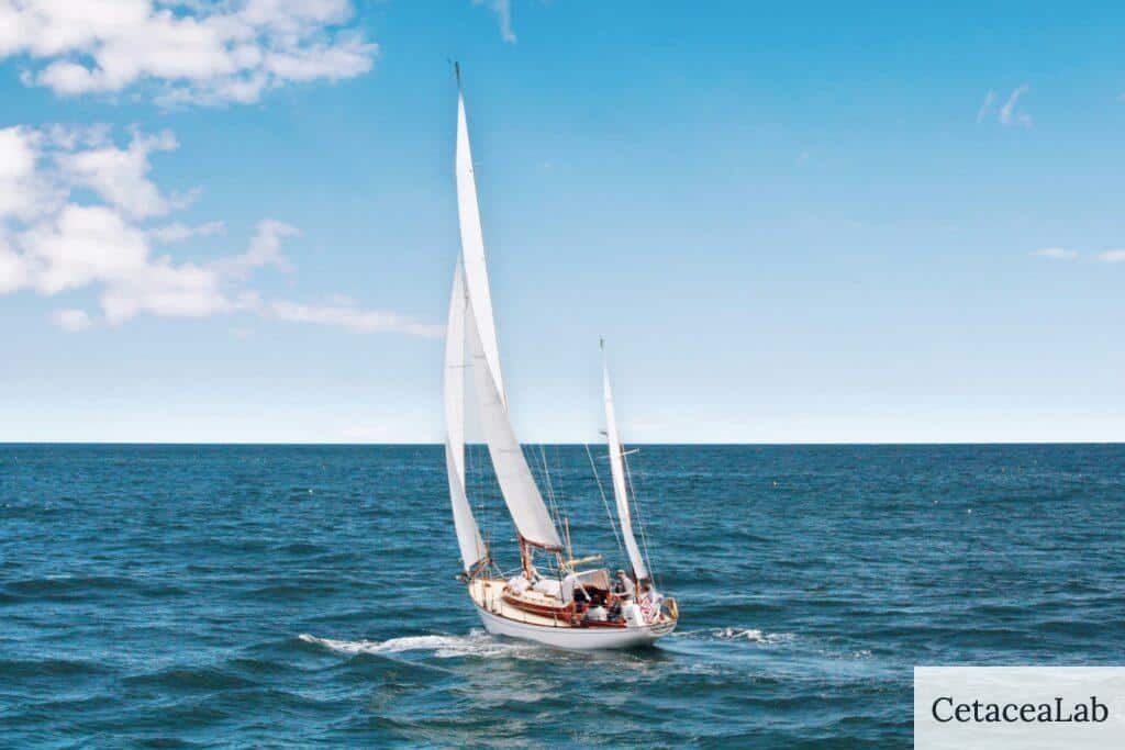 Qué hacer en un velero 