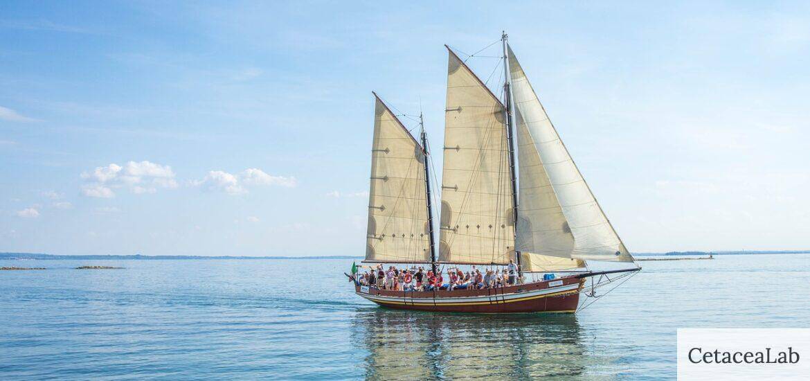 barco