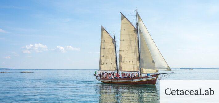 barco