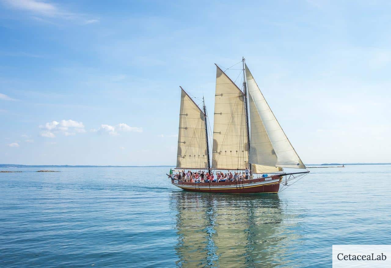barco