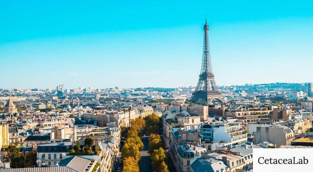 ano escolar francia