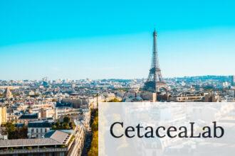 ano escolar francia