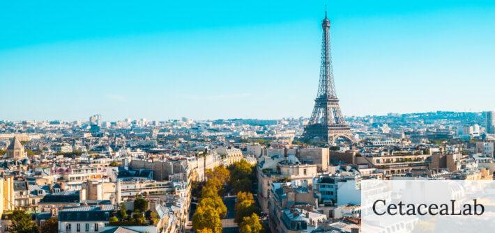 ano escolar francia