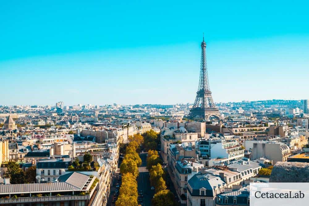 ano escolar francia