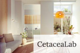 Aspectos que definen una casa de diseño
