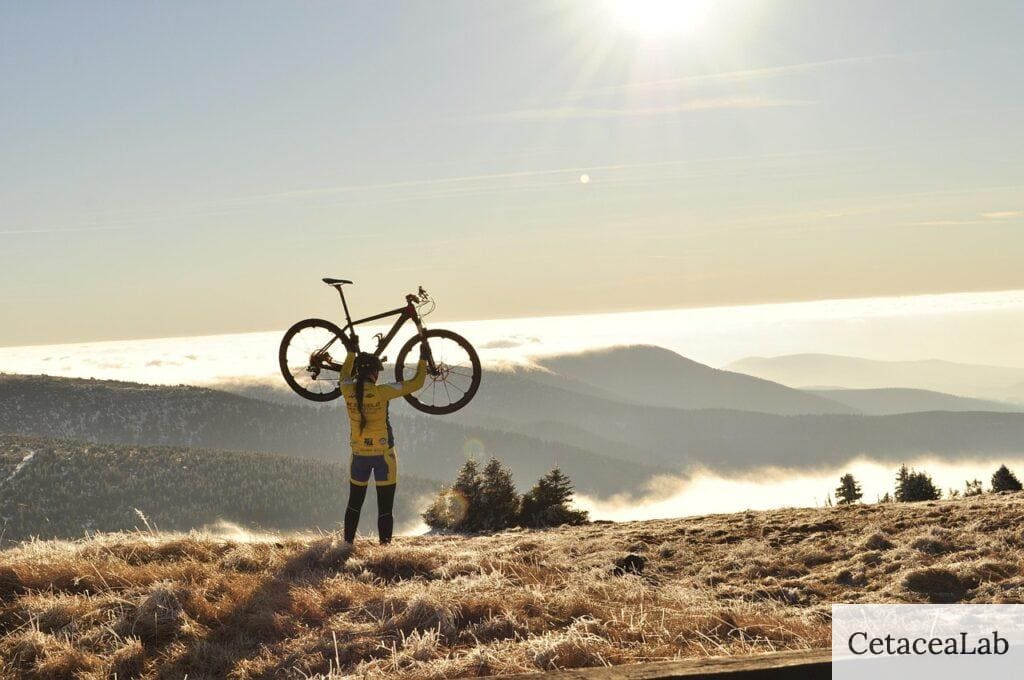 bicis de montaña para principiantes