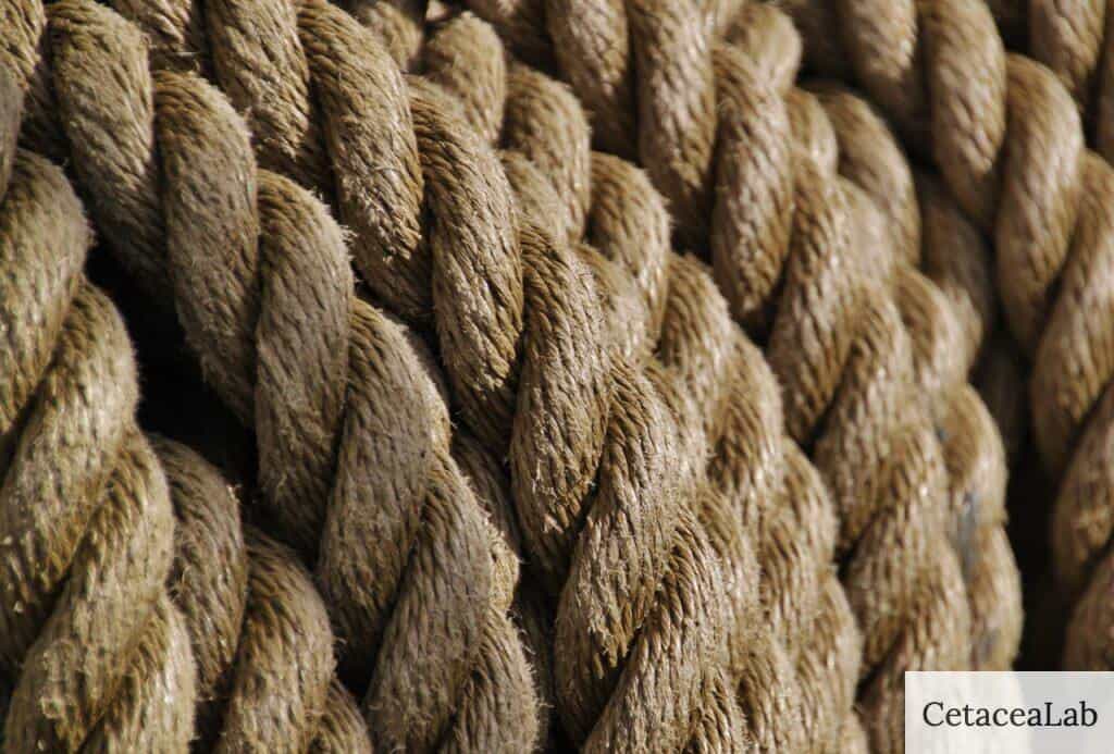 Errores al usar frenos de cuerda
