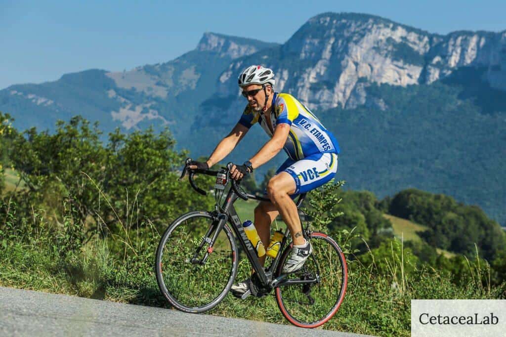 mejores bicis de montaña para principiantes